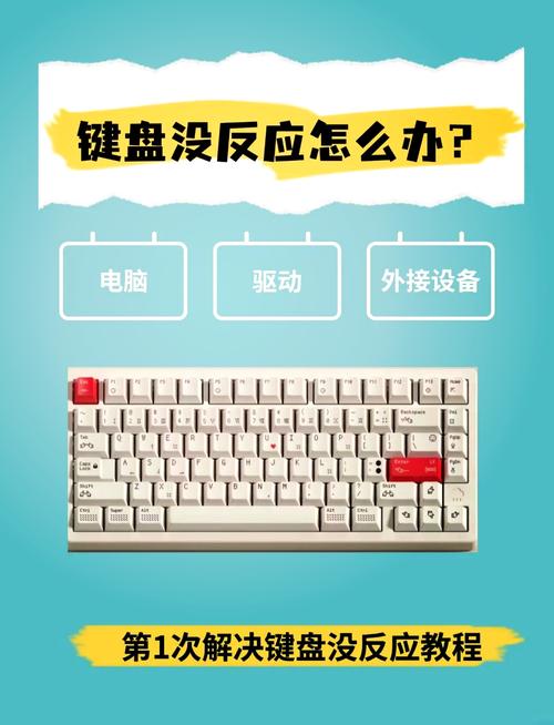 鍵盤驅動程序錯誤怎么解決，鍵盤驅動程序無法使用