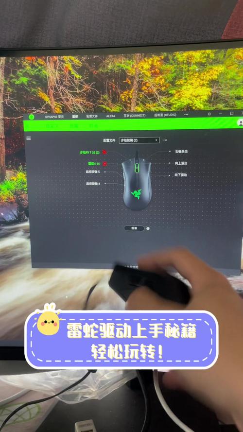 雷蛇驅動只能安裝在c盤嗎，雷蛇驅動安裝不了