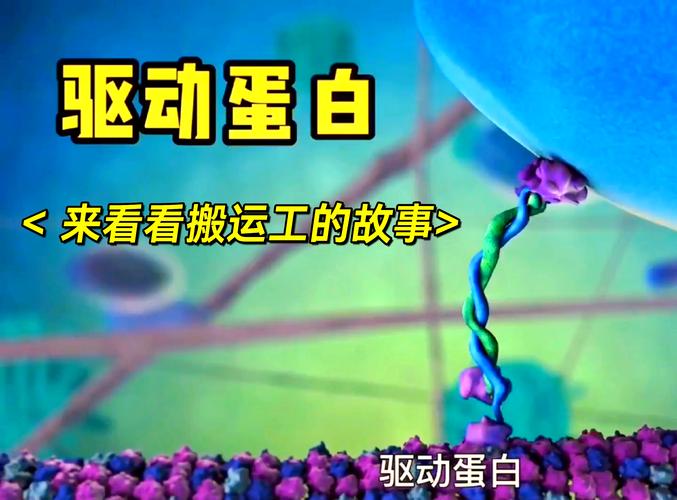 驅動蛋白有ATP酶活性嗎，驅動蛋白和動力蛋白