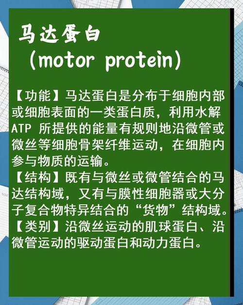 驅動蛋白質多肽鏈折疊盤曲的主要動力，驅動蛋白名詞解釋細胞生物學